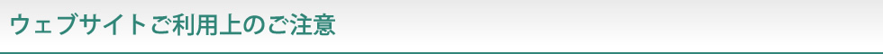 ウェブサイトご利用のご注意